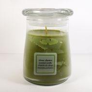 Citrus Cilantro 15 oz. Scented Candle in a Glass Jar