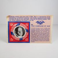 Herbert Hoover 1928 President Campaign Pin Repro - Click to enlarge
